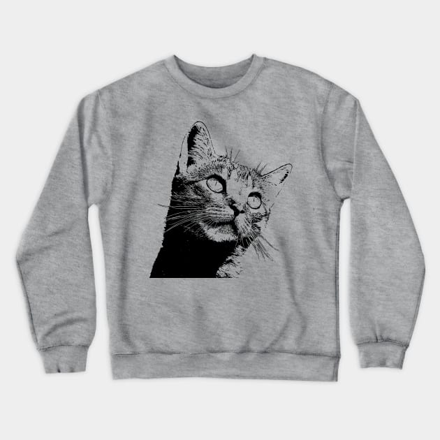 Cat cat cat Crewneck Sweatshirt by Think Beyond Color